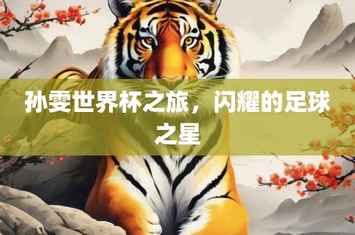 孙雯世界杯之旅，闪耀的足球之星漯河市盈旭机械设备有限公司