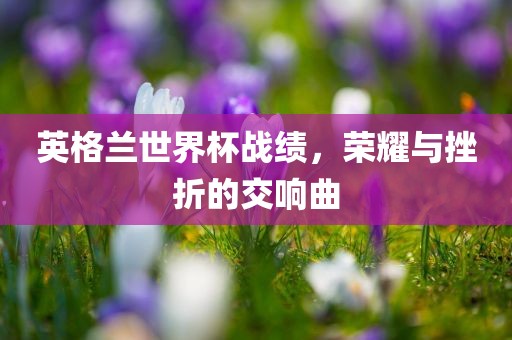 英格兰世漯河市盈旭机械设备有限公司界杯战绩，荣耀与挫折的交响曲