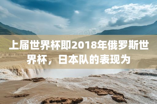 上届世界杯即2018年俄罗斯世界杯，日本队的表现为