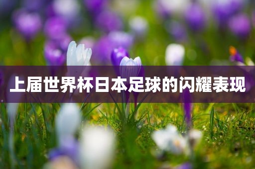上届世界杯日本足球的闪耀表现漯河市盈旭机械设备有限公司