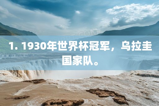 1. 1930年世界杯冠军，乌拉圭国家队。漯河市盈旭机械设备有限公司