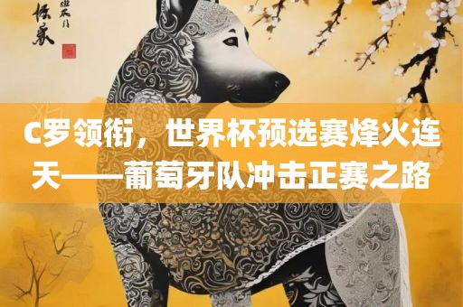 C罗领衔，世界杯预选赛烽火连天——葡萄牙队冲击正赛之路漯河市盈旭机械设备有限公司