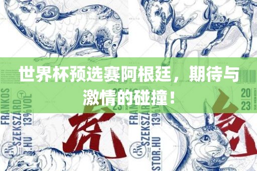 世界杯预选赛阿根廷，期待与激情的碰撞！漯河市盈旭机械设备有限公司