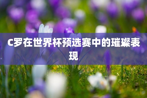 C罗在世界杯预选赛中的璀璨表现