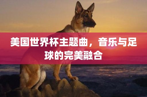 美国世界杯主题曲，音乐与足球的完美融合