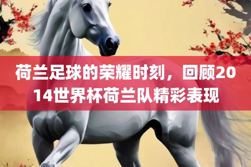 荷兰足球的荣耀时刻，回顾20漯河市盈旭机械设备有限公司14世界杯荷兰队精彩表现