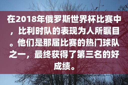 在2018年俄罗斯世界杯比赛中，比利时队的表现为人所瞩目。他们是那届比赛的热门球队之一，最终获得了第三名的好成绩。漯河市盈旭机械设备有限公司