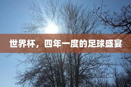 世界杯，四年一度的足球盛宴漯河市盈旭机械设备有限公司