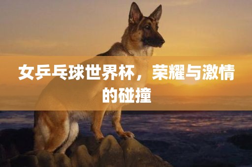 女乒乓球世界杯，荣耀与激情的碰撞