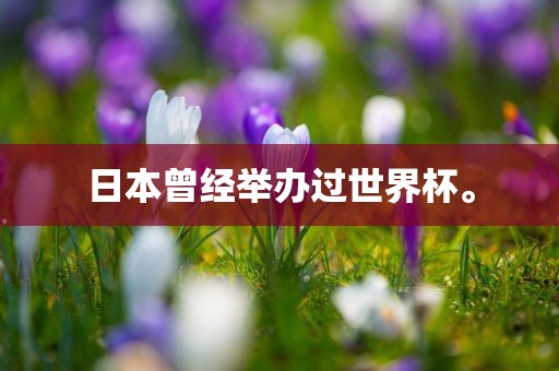 huangqianqian 第5页