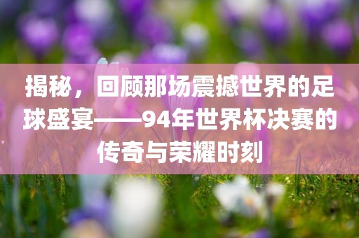 揭秘，回顾那场震撼世界的足球盛宴——94年世界杯决赛的传奇与荣耀时刻漯河市盈旭机械设备有限公司