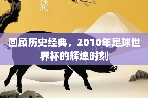 回顾历史经典，2010年足球世界杯的辉煌时刻漯河市盈旭机械设备有限公司
