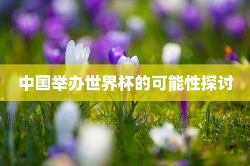 中国举办世界杯的可能性探讨