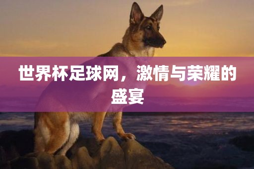世界杯足球网，激情与荣耀的盛宴漯河市盈旭机械设备有限公司