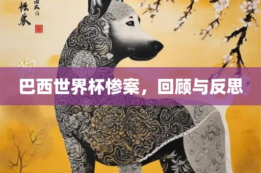 巴西世界杯惨案，回顾与反思