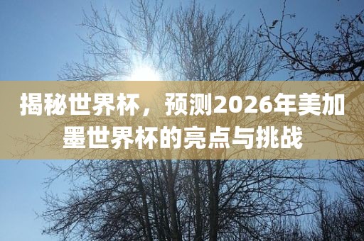 揭秘世界杯，预测2026年美加墨世界杯的亮点与挑战漯河市盈旭机械设备有限公司