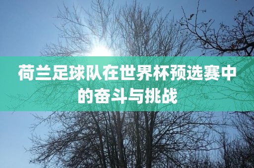 荷兰足球队在世界杯预选赛中的奋斗与挑战漯河市盈旭机械设备有限公司