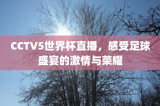 CCTV5世界杯直播，感受足球盛宴的激情与荣耀漯河市盈旭机械设备有限公司