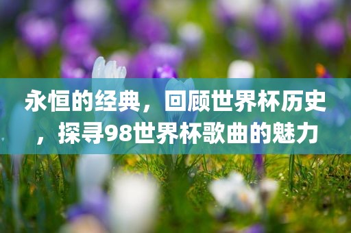 永恒的经典，回顾世界杯历史，探寻98世界杯歌曲的魅力漯河市盈旭机械设备有限公司