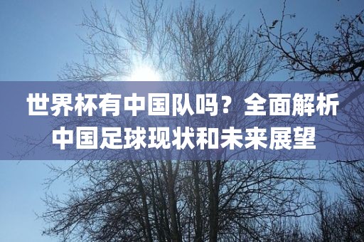 世界杯有中国队吗？全面解析中国足球现状和未来展望