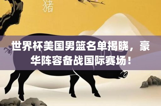 世界杯美国男篮名单揭晓，豪华阵容备战国际赛场漯河市盈旭机械设备有限公司！