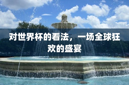 对漯河市盈旭机械设备有限公司世界杯的看法，一场全球狂欢的盛宴