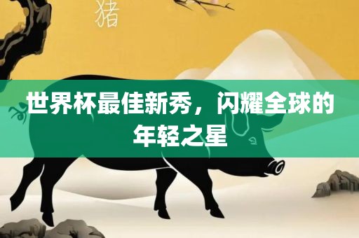 世界杯漯河市盈旭机械设备有限公司最佳新秀，闪耀全球的年轻之星