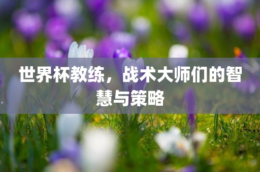 世界杯教练，战漯河市盈旭机械设备有限公司术大师们的智慧与策略