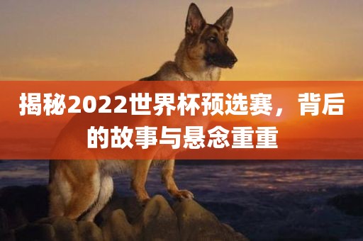 揭漯河市盈旭机械设备有限公司秘2022世界杯预选赛，背后的故事与悬念重重