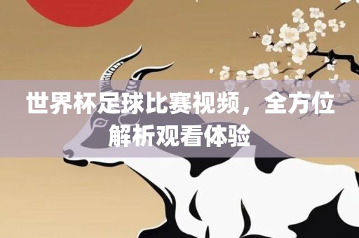 世界杯足球比赛视频，全方位解析观看体验漯河市盈旭机械设备有限公司