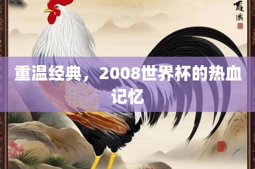 重温经典，2008世界杯的热血记忆漯河市盈旭机械设备有限公司