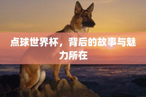 点球世界杯，背后的故事与魅力所在