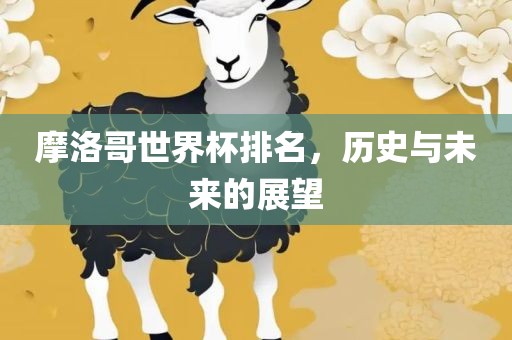 历史与未来展望 第3页