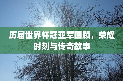 历届世界杯冠亚军回顾，荣耀时刻与传奇故事