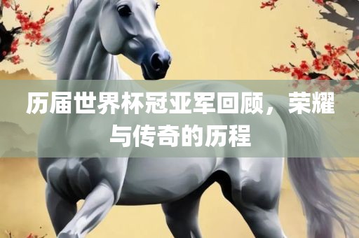 历届世界杯冠亚军回顾，荣耀与传奇的历程
