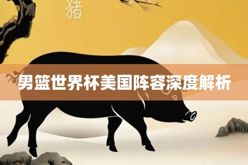 男篮世界杯美国阵容深度解析