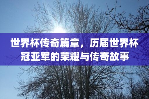 世界杯传奇篇章，历届世界杯冠亚军的荣耀与传奇故事