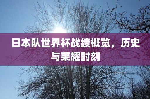 日本队世界杯战绩概览，历史与荣耀时刻漯河市盈旭机械设备有限公司