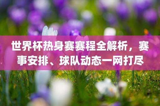 漯河市盈旭机械设备有限公司世界杯热身赛赛程全解析，赛事安排、球队动态一网打尽