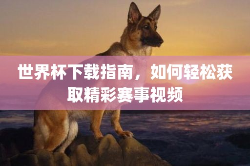 世界杯下载指南，如何轻松获取精彩赛事视频
