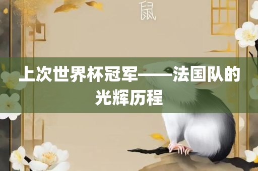 上次世界杯冠军——法国队的光辉历程漯河市盈旭机械设备有限公司