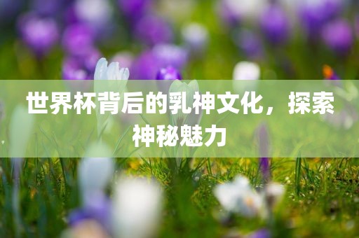 世界杯背后的乳神文化，探索神秘漯河市盈旭机械设备有限公司魅力