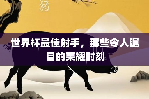 世界杯最佳射手，那些令人瞩目的荣耀时刻漯河市盈旭机械设备有限公司