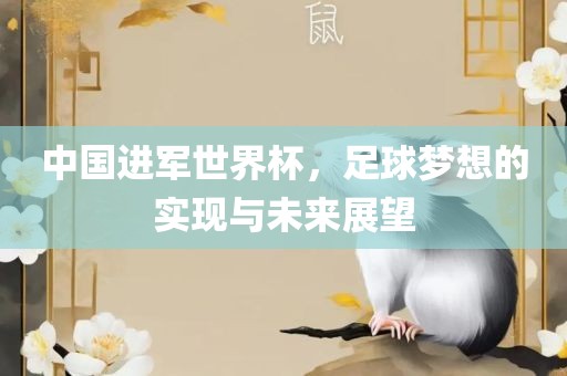 中国进军世界杯，足球梦想的实现与未来展望漯河市盈旭机械设备有限公司