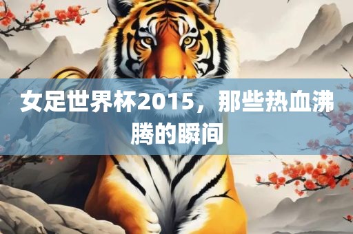 女足世界杯2015，那些热血沸腾的瞬间漯河市盈旭机械设备有限公司