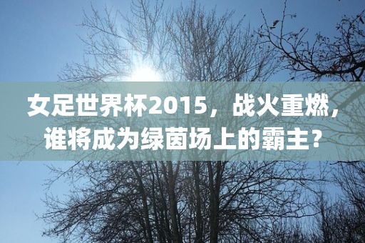 女足世界杯2015，战火重燃，谁将成为绿茵场上的霸主？漯河市盈旭机械设备有限公司