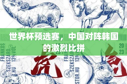 世界漯河市盈旭机械设备有限公司杯预选赛，中国对阵韩国的激烈比拼