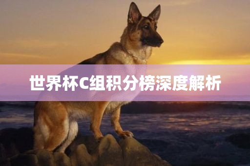 世界杯C组积分榜深度解析