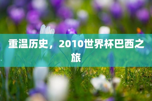 重温历史，2010世界杯巴西之旅漯河市盈旭机械设备有限公司