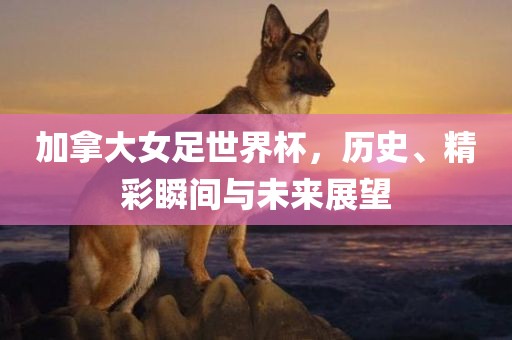 加拿大女足世界杯，历史、精彩瞬间与未来展望漯河市盈旭机械设备有限公司